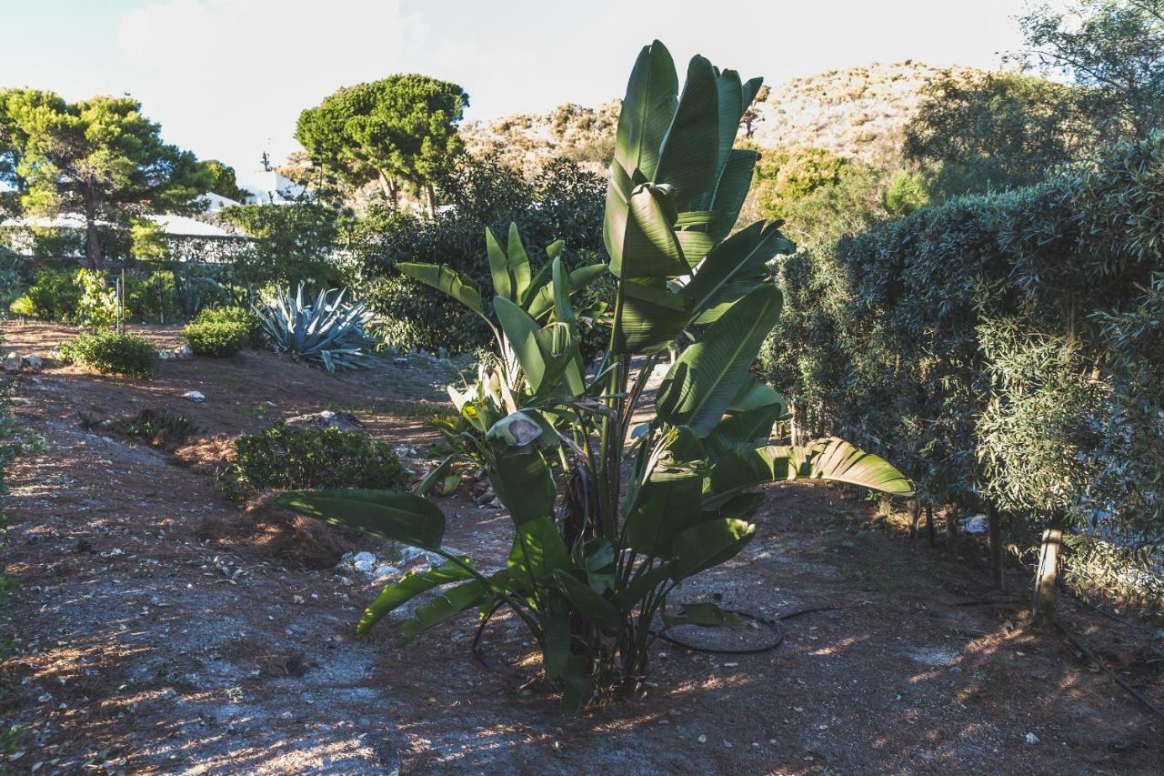 וולקאנו Villa Dei Sogni מראה חיצוני תמונה